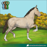 Horse Color:Classic Cream Champagne Roan Dun