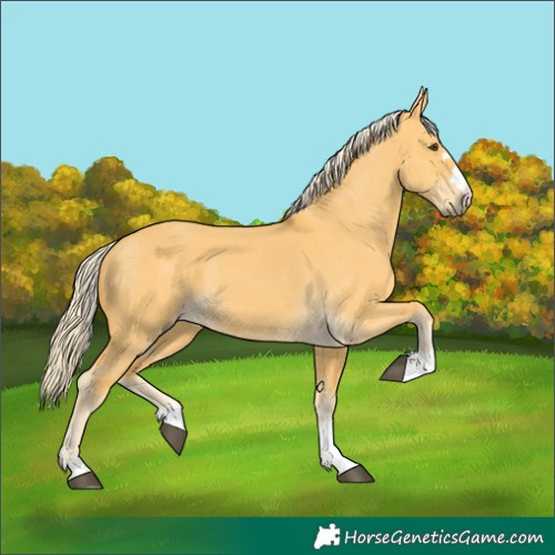 Horse Color:Palomino Dun Brindle 