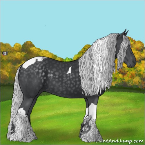 Horse Color:Silver Black Chinchilla Tobiano 