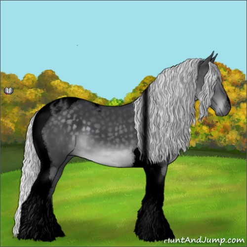 Horse Color:Void Silver Black Chinchilla Tobiano 