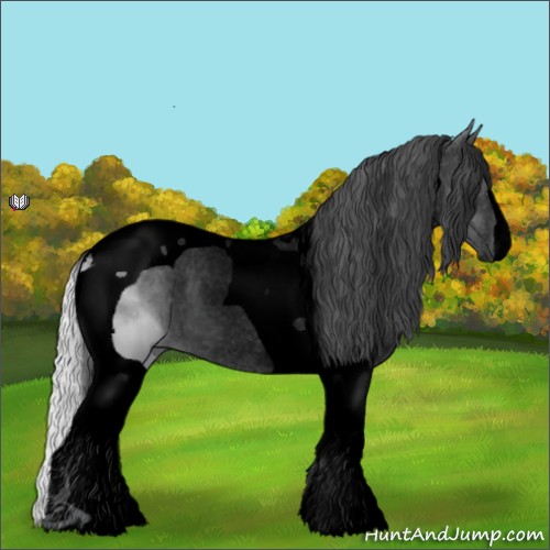 Horse Color:Void Silver Grullo Chinchilla Tobiano 