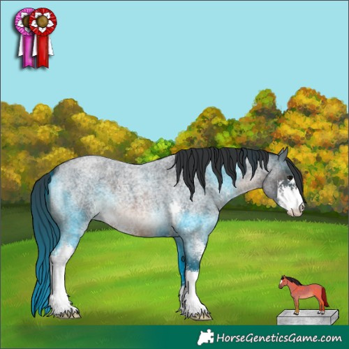 Horse Color:Brown Roan Sabino 