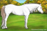 Horse Color:Chestnut Tobiano Varnish 