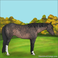 Horse Color:Platinum Brown 