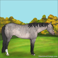 Horse Color:Platinum Brown Dun Rabicano 
