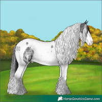 Horse Color:Black Ice Sabino Splash Tobiano 