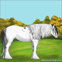 Horse Color:Black Sabino Splash Tobiano