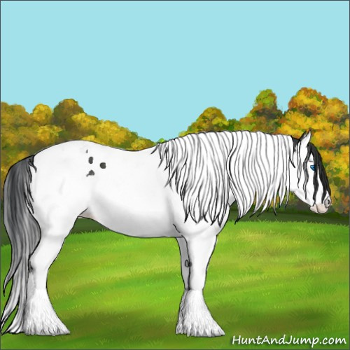 Horse Color:Black Splash Tobiano 