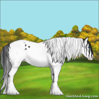 Horse Color:Black Splash Tobiano 