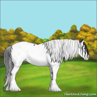 Horse Color:Black Splash Tobiano 