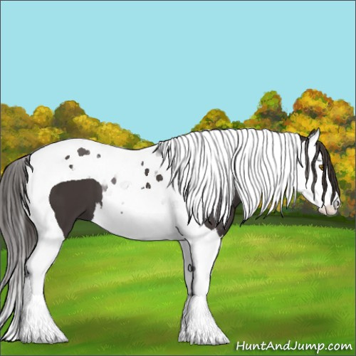 Horse Color:Smoky Black Splash Tobiano
