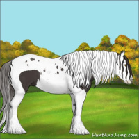 Horse Color:Smoky Black Splash Tobiano 