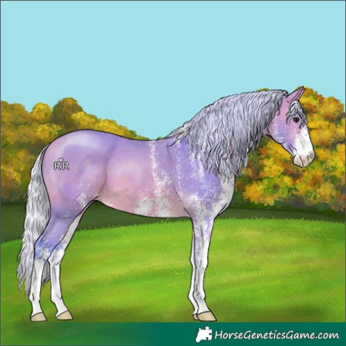 Horse Color:Watercolor White Spotted Silver Buckskin