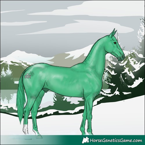 Horse Color:Watercolor Black Chinchilla 