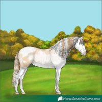 Horse Color:White Spotted Smoky Black Pearl Splash Rabicano