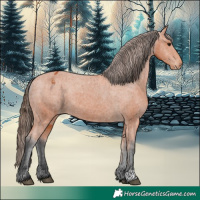 Horse Color:Bay Appaloosa 