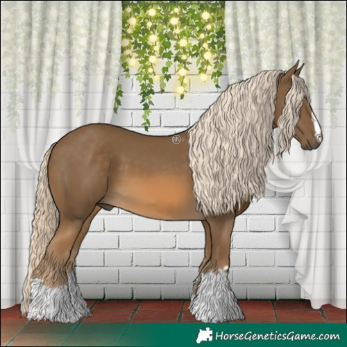 Horse Color:Chocolate Palomino