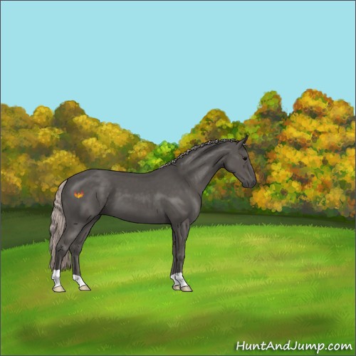 Horse Color:Silver Black 