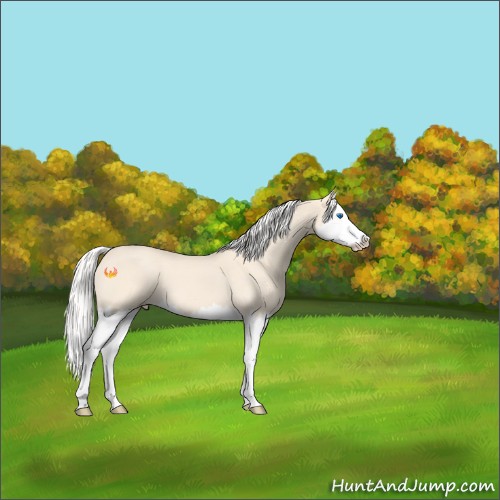 Horse Color:Silver Perlino Roan Splash 