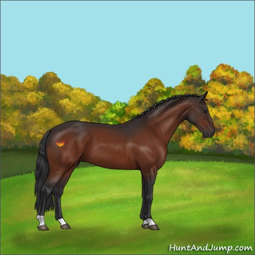 Horse Color:Brown 