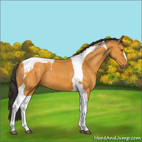 Horse Color:Buckskin Tobiano 