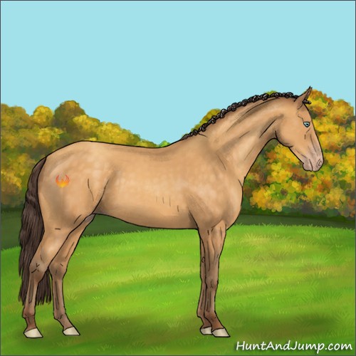 Horse Color:Sable Cream Champagne 