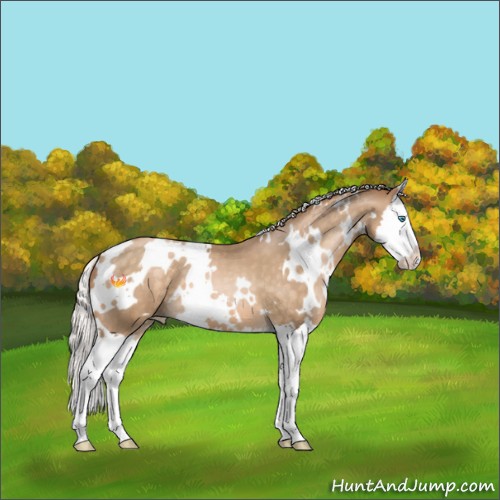 Horse Color:White Spotted Silver Buckskin Pearl Splash 