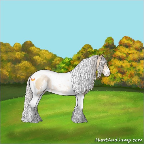 Horse Color:Silver Sable Cream Champagne Pearl Sabino Tobiano Rabicano 