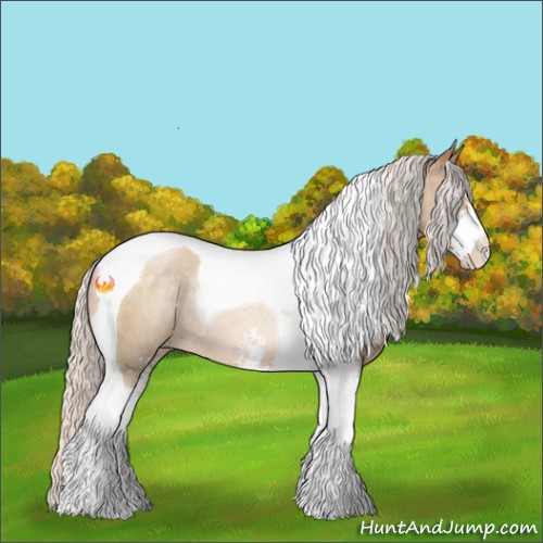 Horse Color:Silver Buckskin Pearl Sabino Tobiano Rabicano 