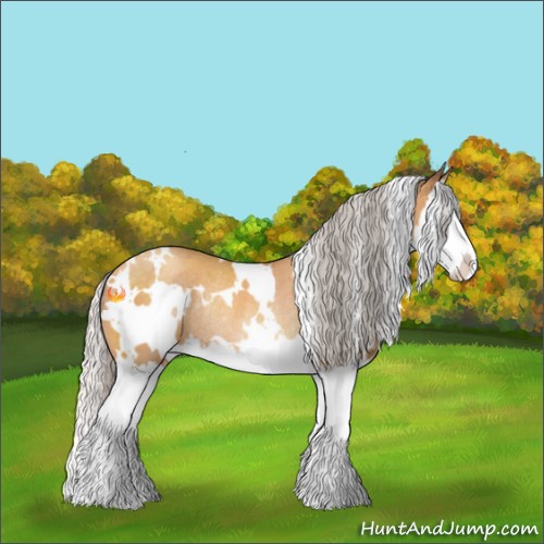 Horse Color:White Spotted Silver Sable Cream Champagne Splash Rabicano 