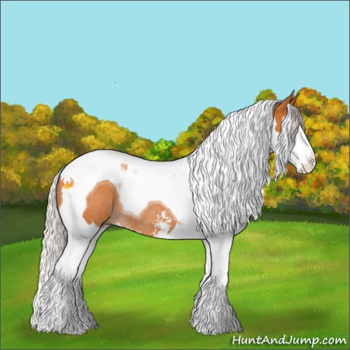 Horse Color:Silver Buckskin Sabino Splash Tobiano Rabicano 