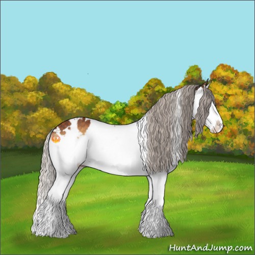 Horse Color:White Spotted Silver Buckskin Onyx Sabino Splash Rabicano 