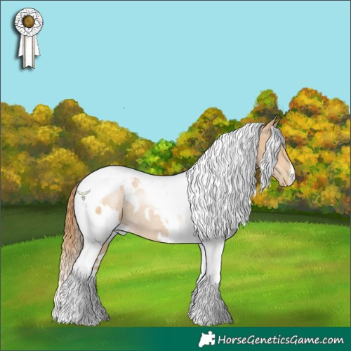 Horse Color:White Spotted Smoky Black Pearl Tobiano Rabicano 