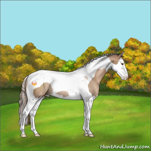 Horse Color:Black Pearl Sabino Splash Tobiano Rabicano 
