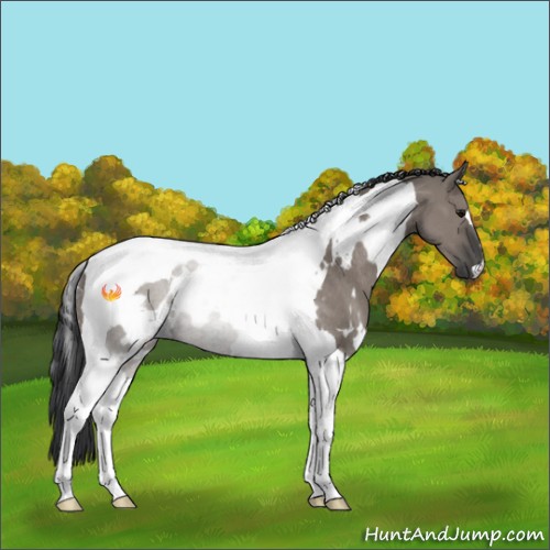 Horse Color:White Spotted Grullo Tobiano Rabicano 