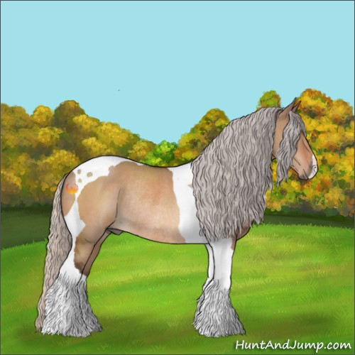 Horse Color:Silver Brown Dun Tobiano Rabicano 