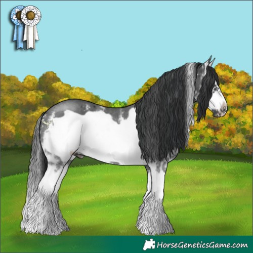 Horse Color:Black Sabino Splash Frame Rabicano 