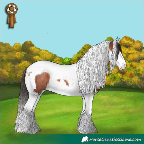 Horse Color:Bay Splash Tobiano Rabicano 