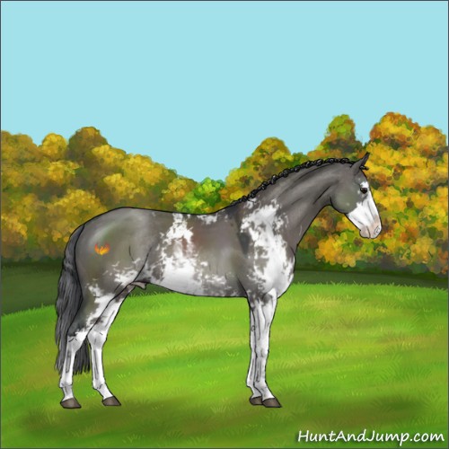 Horse Color:Grullo Sabino Rabicano 