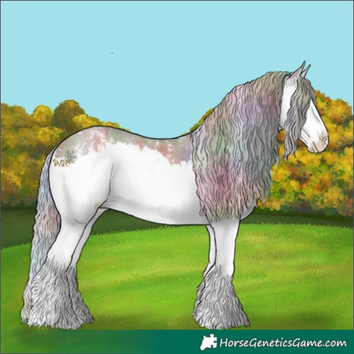 Horse Color:Nacre Silver Grullo Sabino Splash