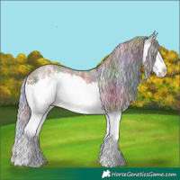 Horse Color:Nacre Silver Grullo Sabino Splash 
