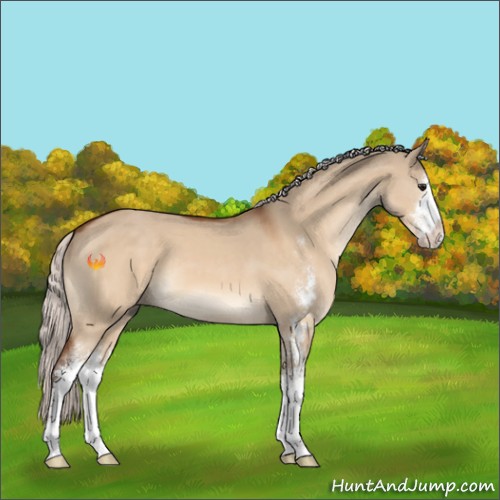 Horse Color:Silver Bay Dun Sabino 