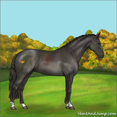 Horse Color:Smoky Black Sabino 
