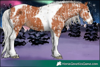 Horse Color:Silver Grullo Onyx Splash Tobiano Appaloosa  and Silver Bay Splash Tobiano 