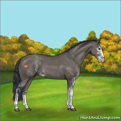 Horse Color:Grullo Sabino 