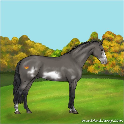 Horse Color:Grullo Sabino Frame 