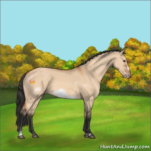 Horse Color:Bay Dun Sabino Frame 
