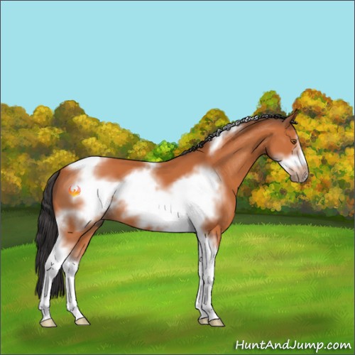 Horse Color:Bay Sabino Tobiano Frame 