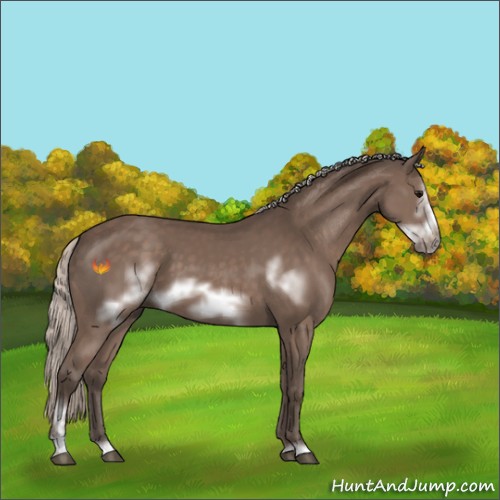 Horse Color:Silver Black Sabino Frame 