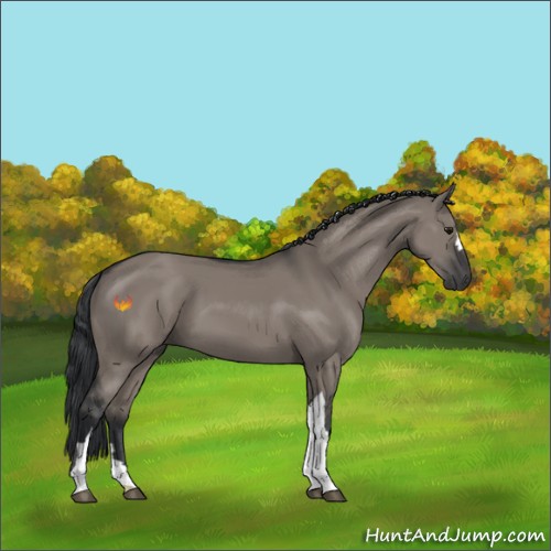 Horse Color:Grullo 
